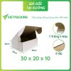 Hộp carton nắp gài 30x20x10